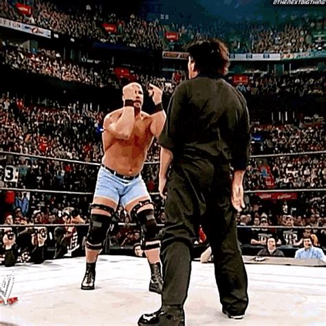 Discover and Share the best GIFs on Tenor. . Stone cold stunner gif